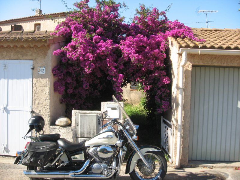 Honda SHADOW VT 750 C à vendre à Hyères (83)